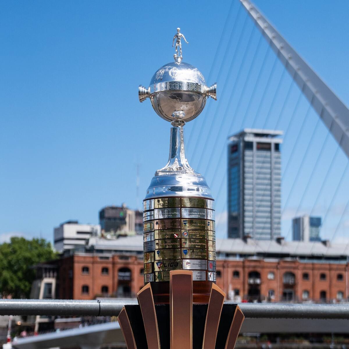 ¡Solo quedan dos cupos! Estos son los equipos clasificados a la Copa Libertadores 2025