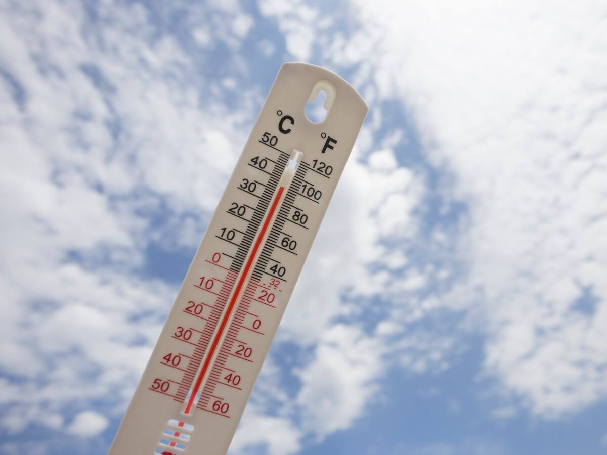38° de temperatura máxima: Michelle Adam revela cuál será el día más caluroso en las próximas jornadas