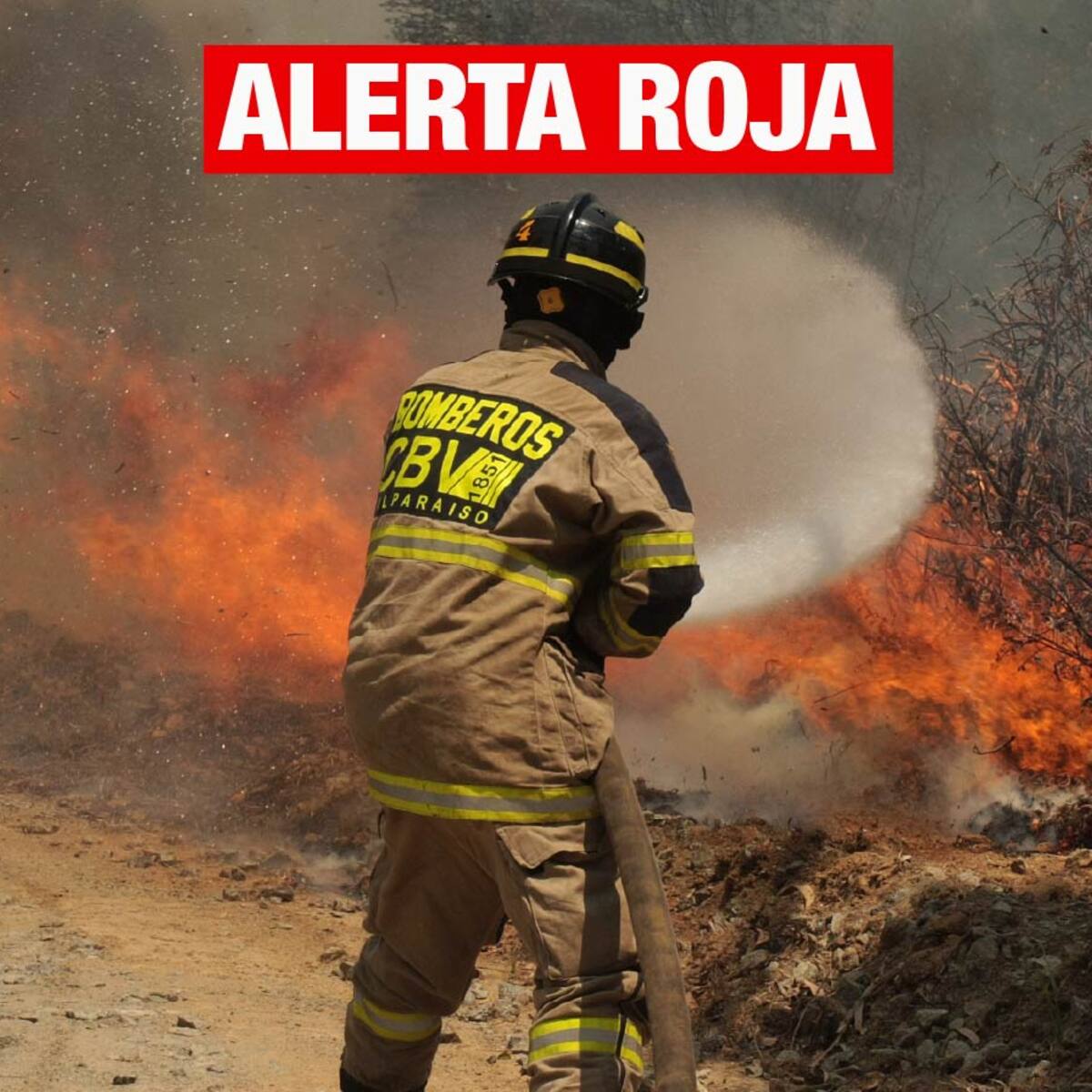 Declaran Alerta Roja en Lampa por incendio forestal con amenaza a viviendas