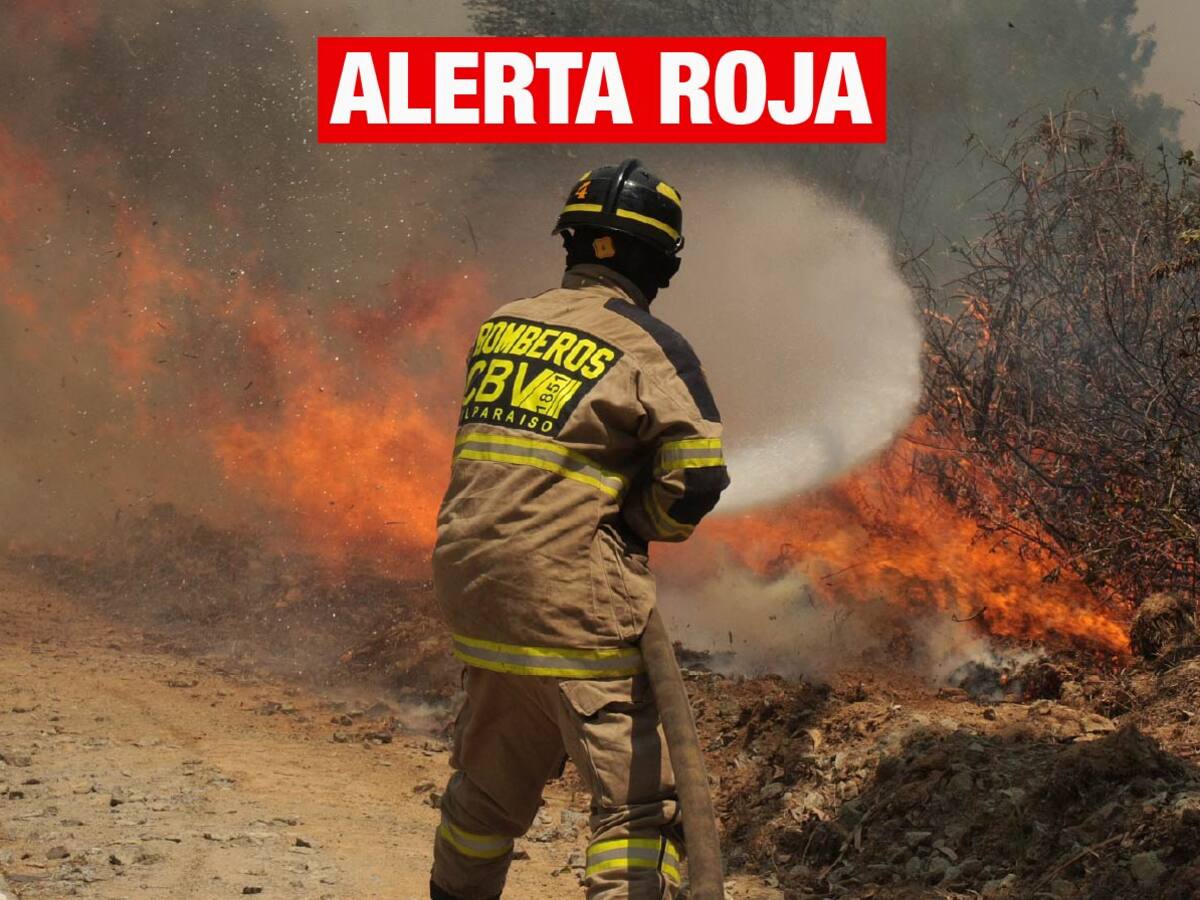 Emergencia en San Antonio: declaran Alerta Roja y ordenan evacuación de diversos sectores por incendio forestal descontrolado