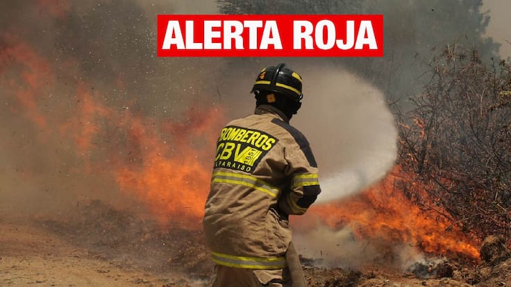 Evacuación urgente en Vichuquén: activan SAE por incendio forestal que amenaza viviendas