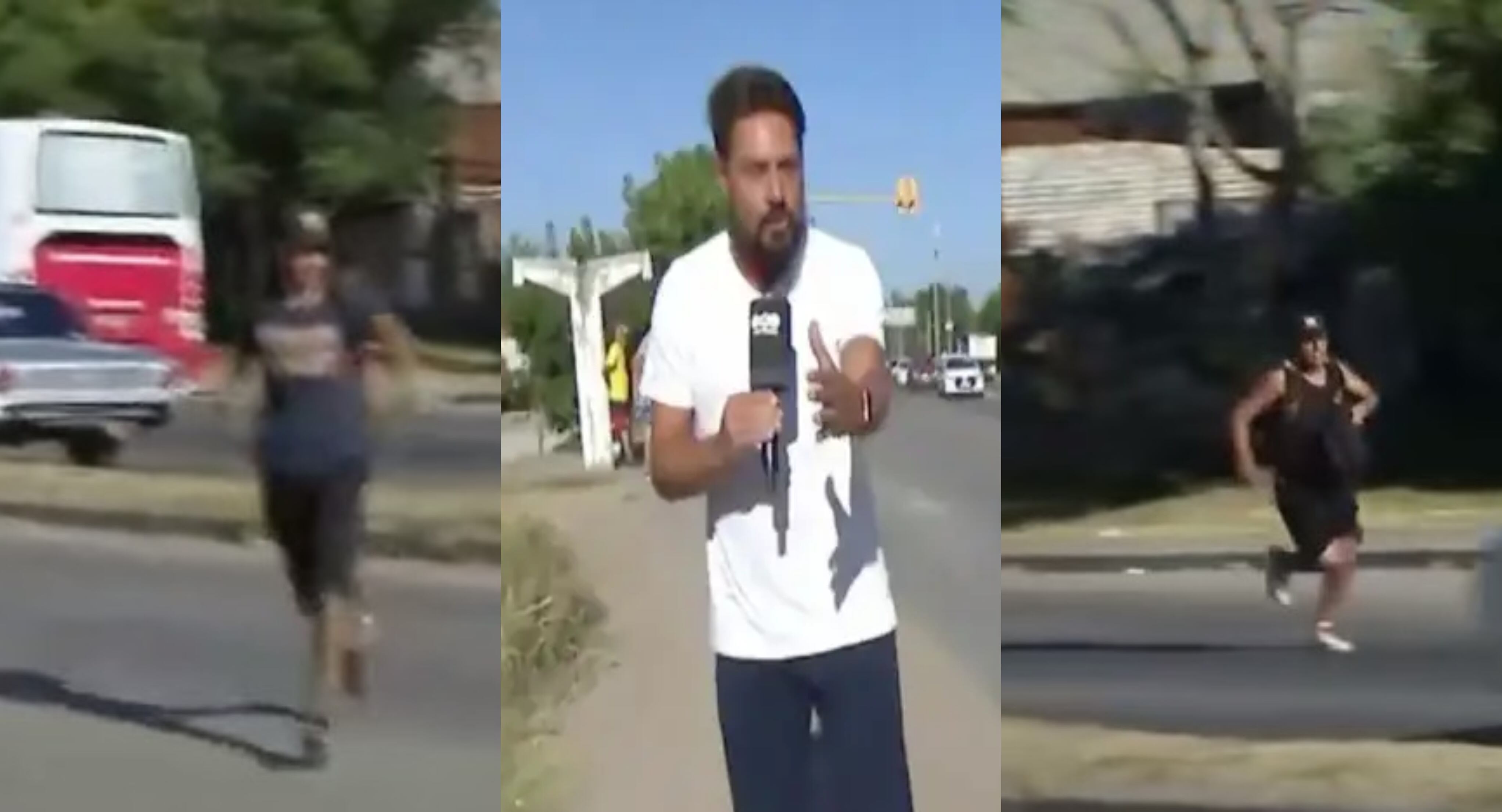 Capturas