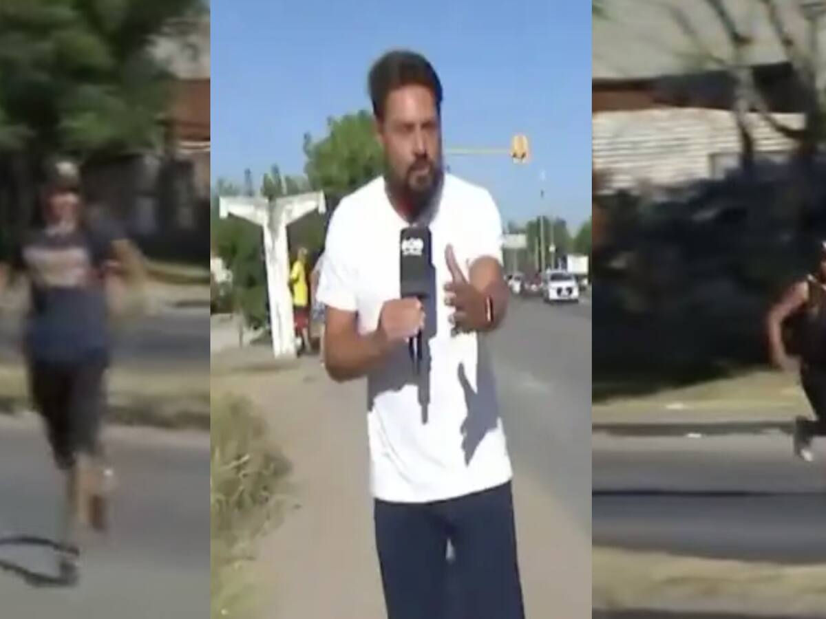 Robo en pleno despacho en vivo: captan a ladrones atacando un bus del transporte público en localidad de Buenos Aires