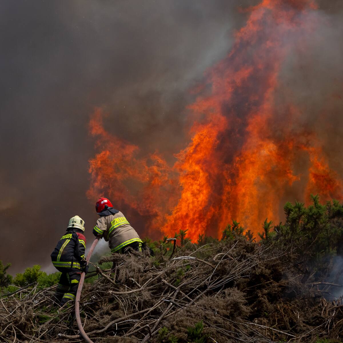 Incendios forestales en Chile: estos son todos los siniestros que se encuentran en combate hoy