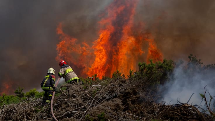 Mantienen Alerta Temprana Preventiva en la región de Los Lagos por amenaza de incendios forestales