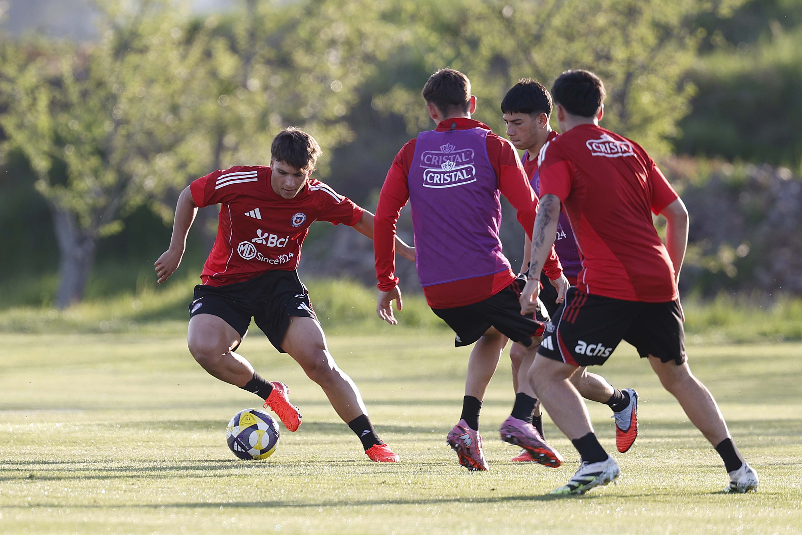 Carlos Parra | Comunicaciones FFCH