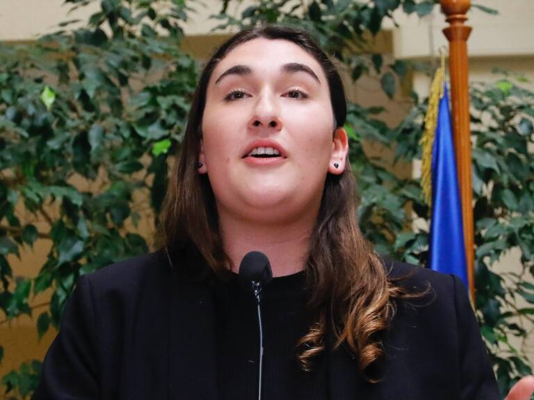 Día de la Visibilidad Lésbica: Diputada Schneider rechaza posible cambio de fecha por tope con Día de la Bandera