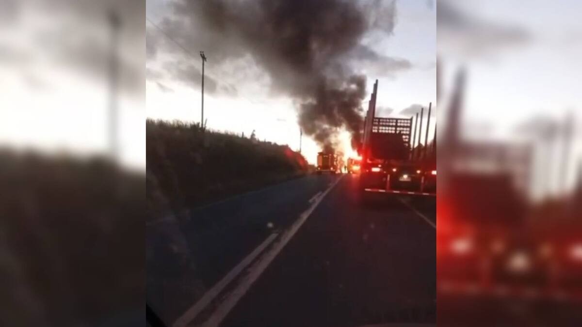 Nuevo ataque incendiario en La Araucanía: camión forestal y camioneta son quemados en Santa Elena