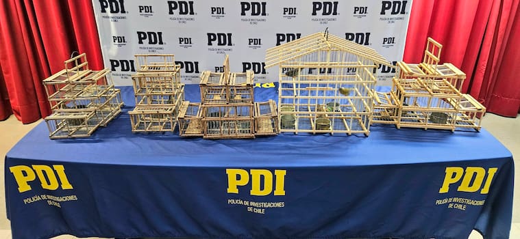 Policía de Investigaciones (PDI)