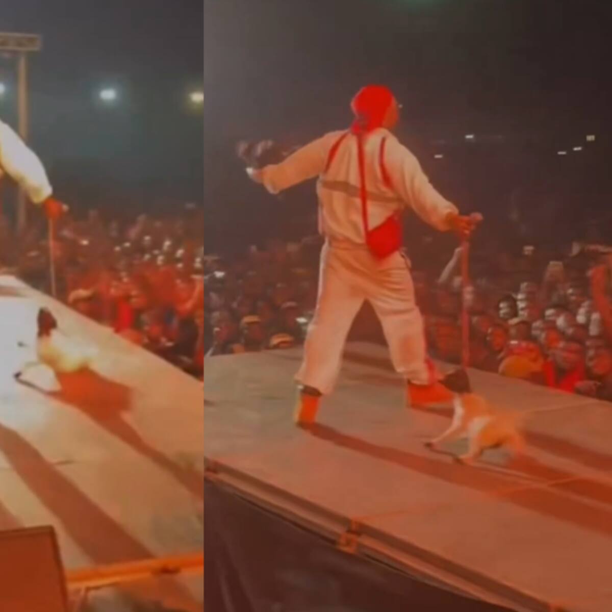 “Un estúpido”: rapero sale al escenario de un concierto arrastrando a un cabrito del cuello y desata la indignación en redes