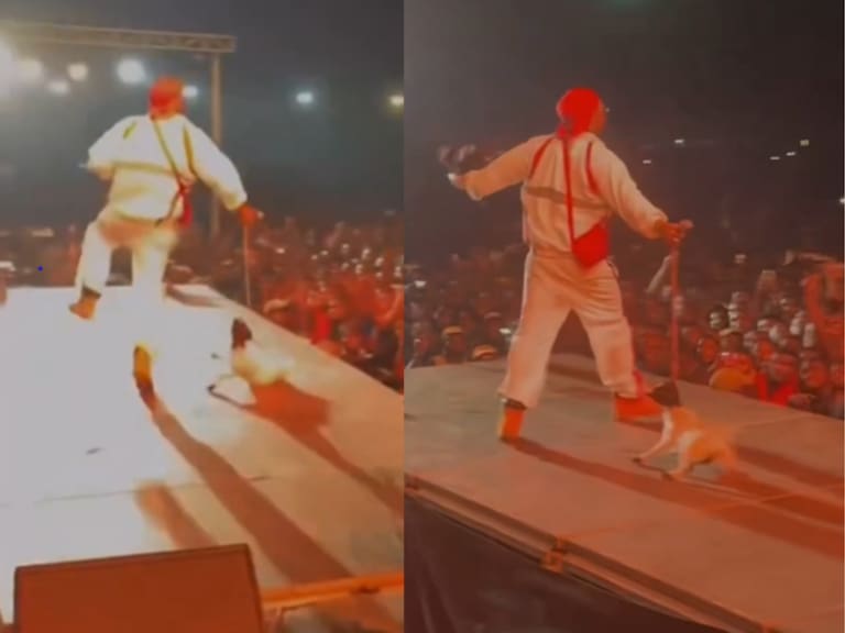 “Un estúpido”: rapero sale al escenario de un concierto arrastrando a un cabrito del cuello y desata la indignación en redes