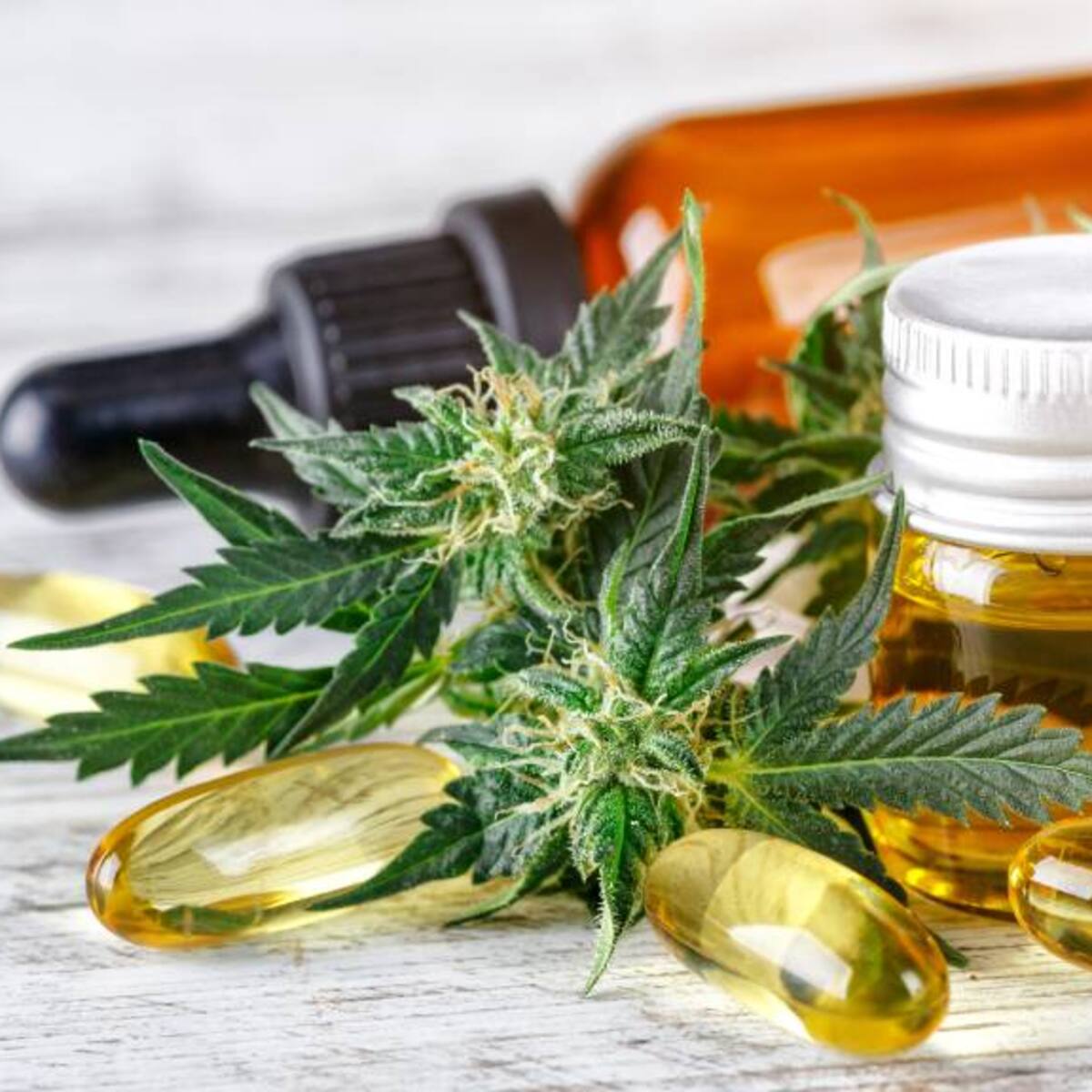 “La marihuana puede convertirse en una puerta de salida al consumo de otras drogas, como la cocaína o el alcohol”