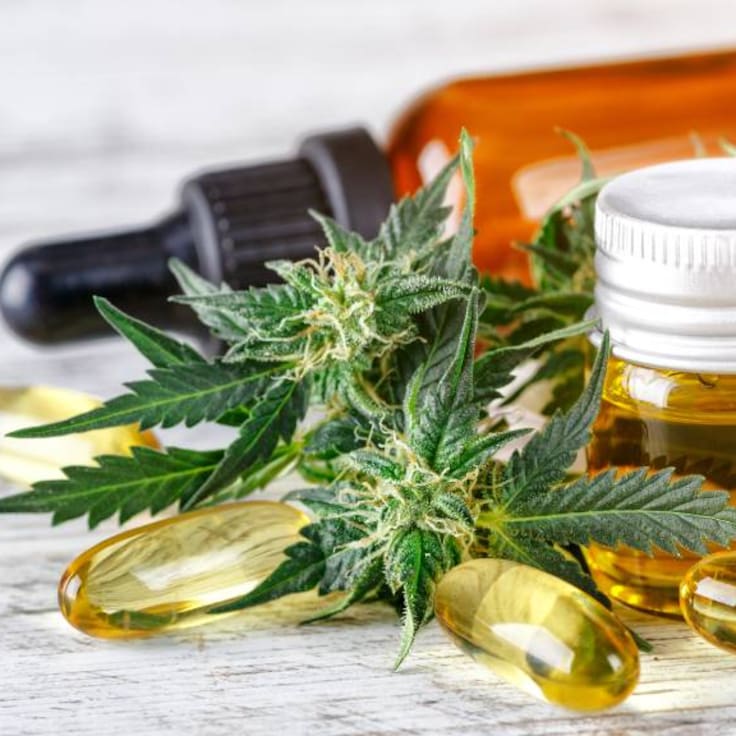 “La marihuana puede convertirse en una puerta de salida al consumo de otras drogas, como la cocaína o el alcohol”