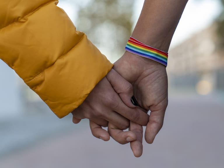 Close-up of two lesbian couple holding hands in a park