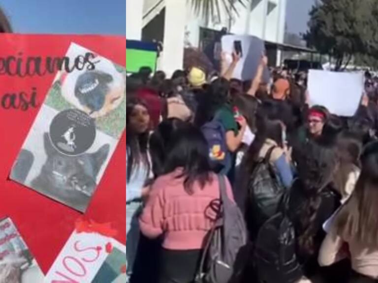 Estudiantes protestan en Universidad del Alba acusando que perros fueron sacrificados para laboratorio