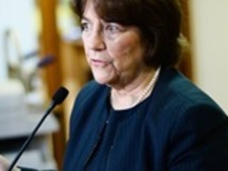 Mineduc estudia implementar la gratuidad vía becas para el 2016