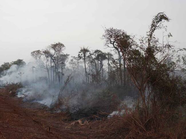 Un incendio forestal en el municipio de Santa Cruz