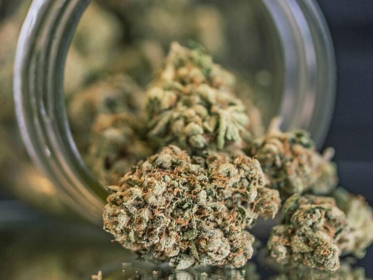 Historia y origen del 4/20: ¿Por qué se conmemora esta fecha?