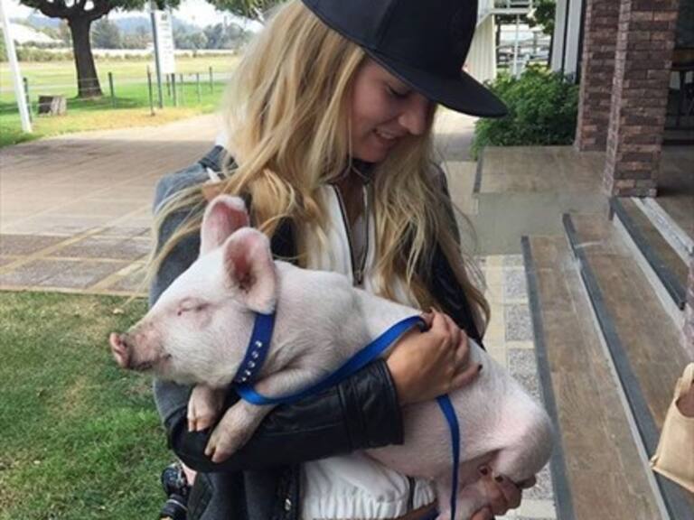 Kika Silva sufre por accidente de su chanchita