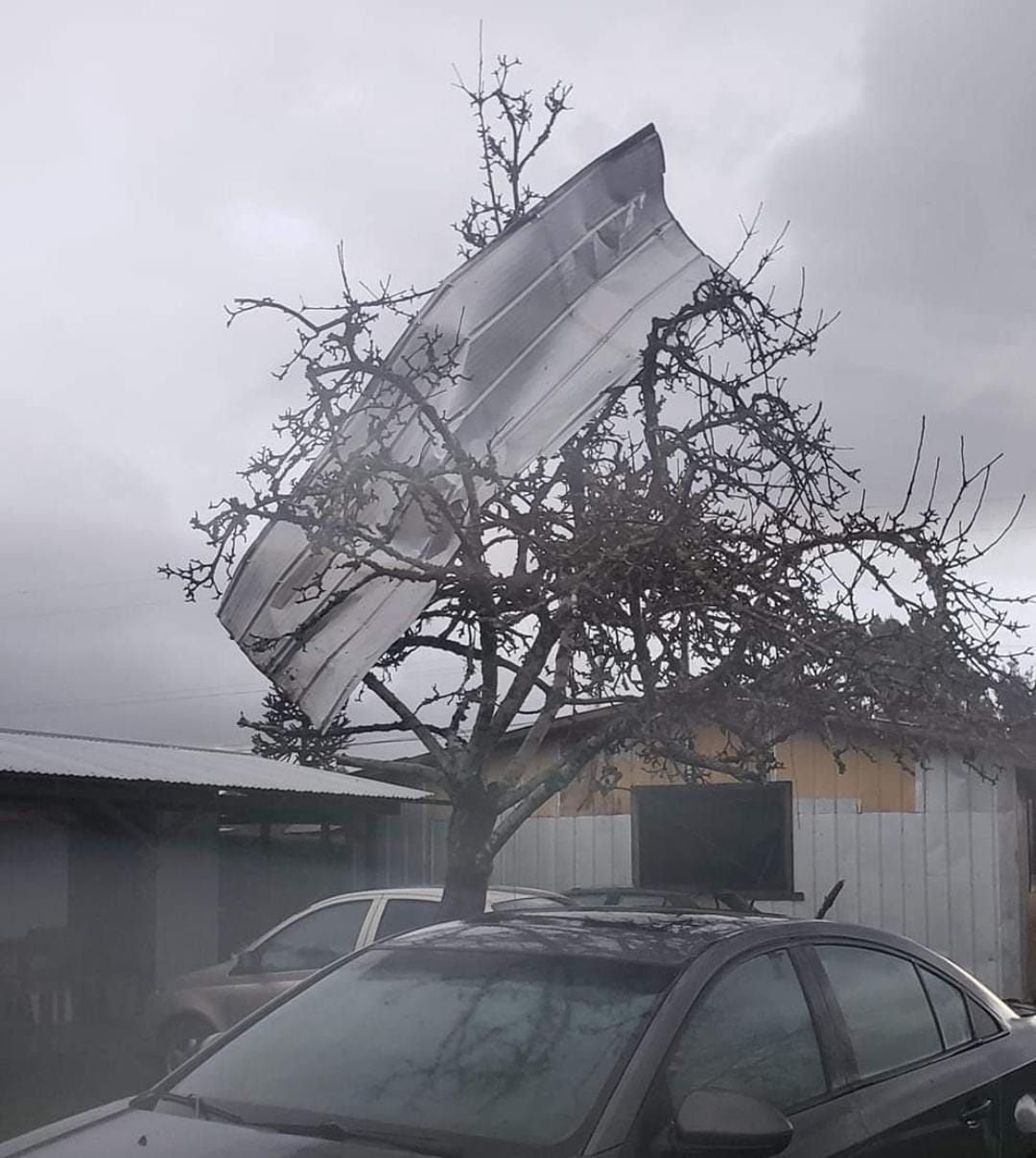 Casas sin techos y caída de árboles: autoridades reportan intenso tornado en Malalhue