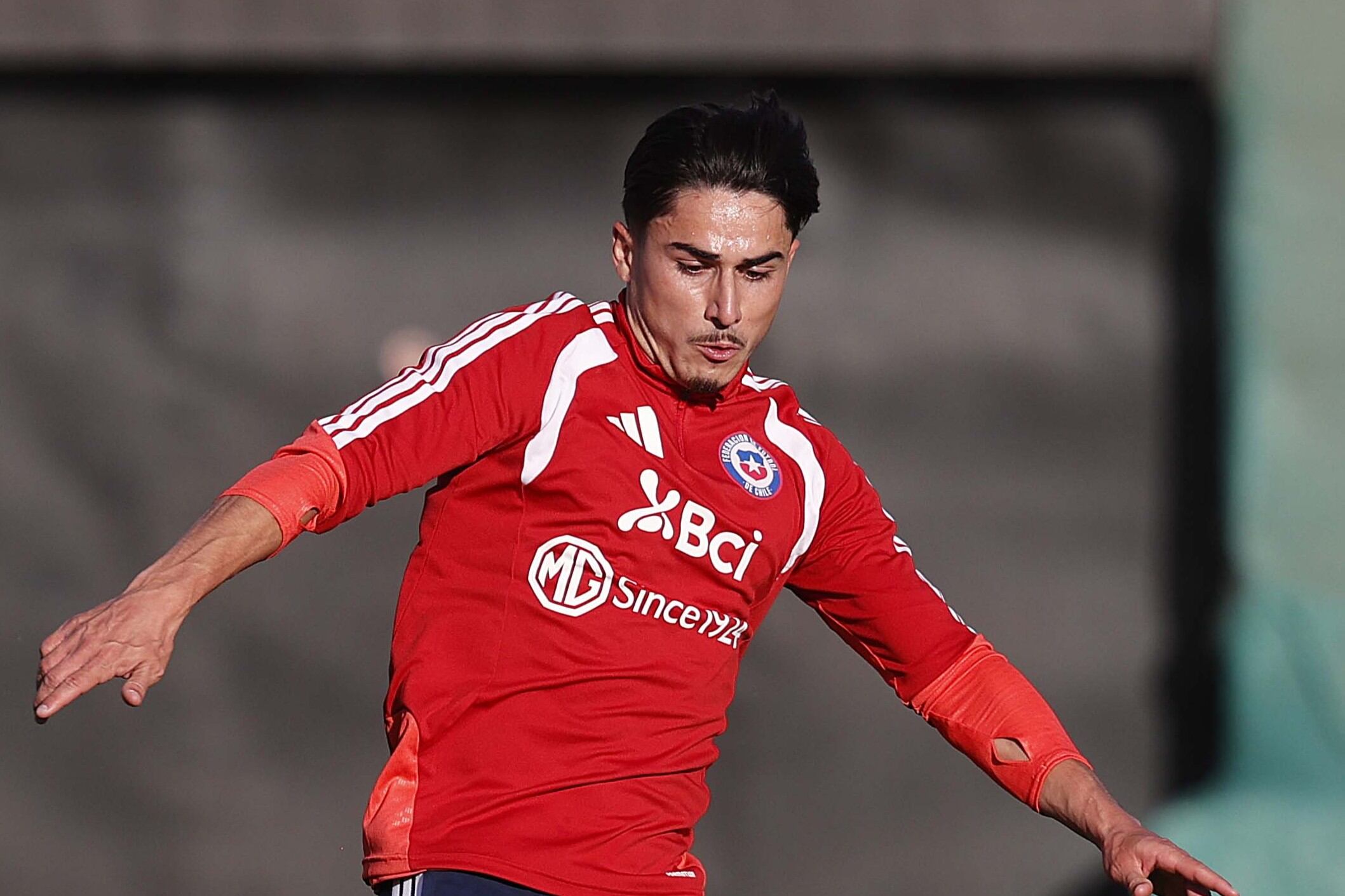 Carlos Parra | Comunicaciones FFCh