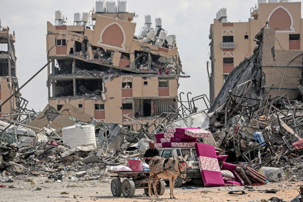 Un palestino desplazado avanza, con un carro tirado por un burro, entremedio de la destrucción de que dejan los ataques de Israel sobre la Franja de Gaza.