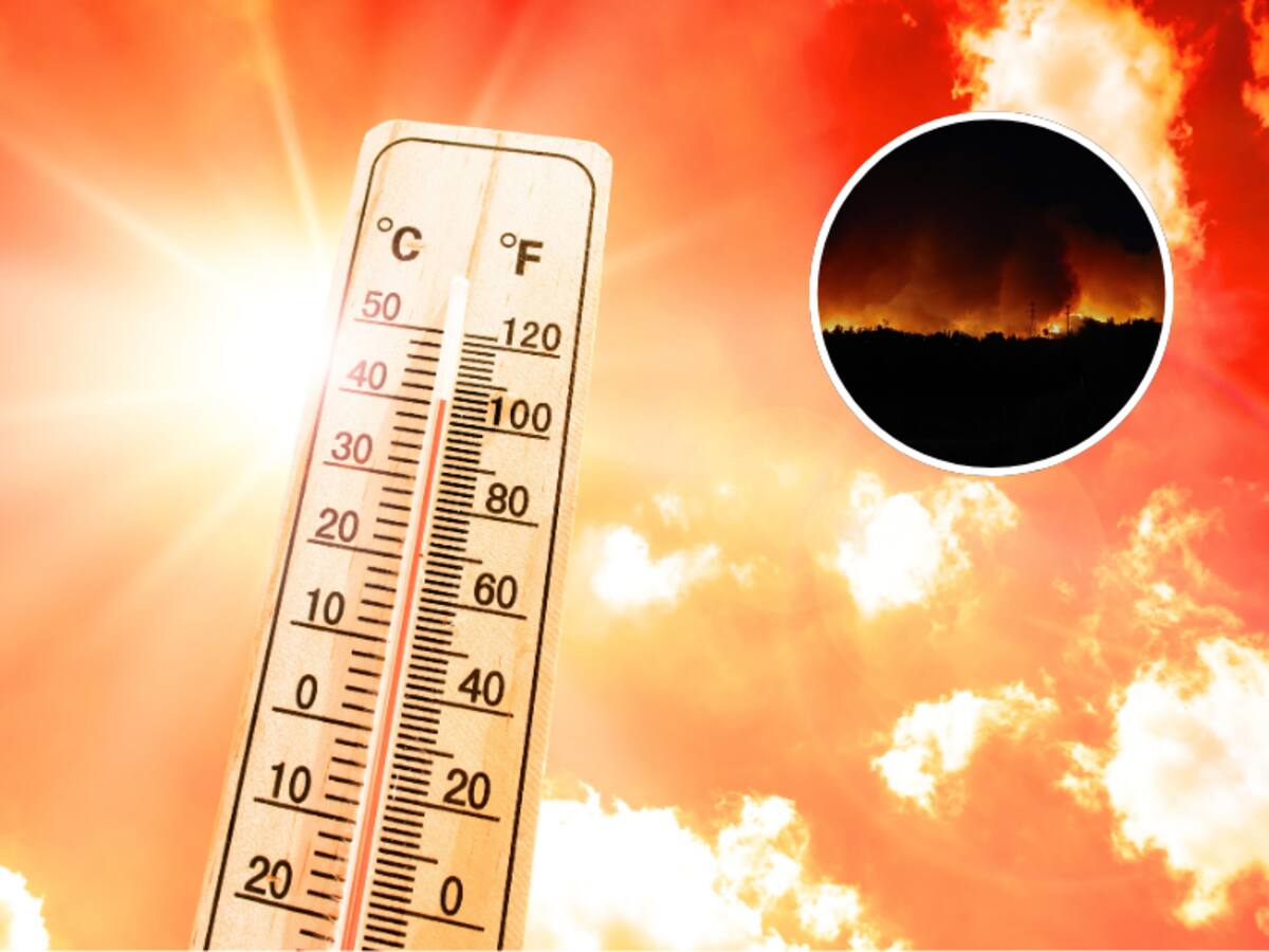 Hasta 37°C: alertan altas temperaturas en zonas afectadas por los incendios forestales en Chile