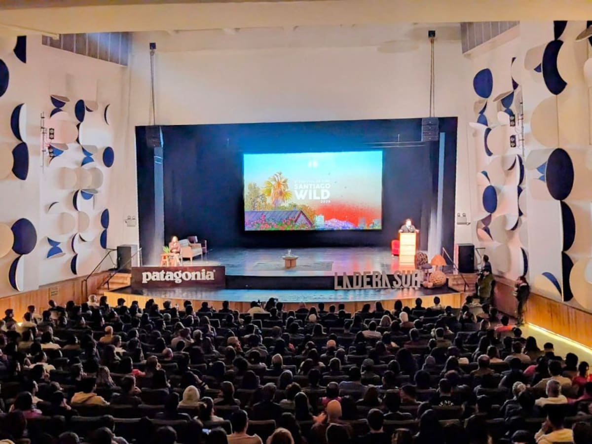 Más de 50 funciones gratis y cartelera online: así será el festival Santiago Wild 2026