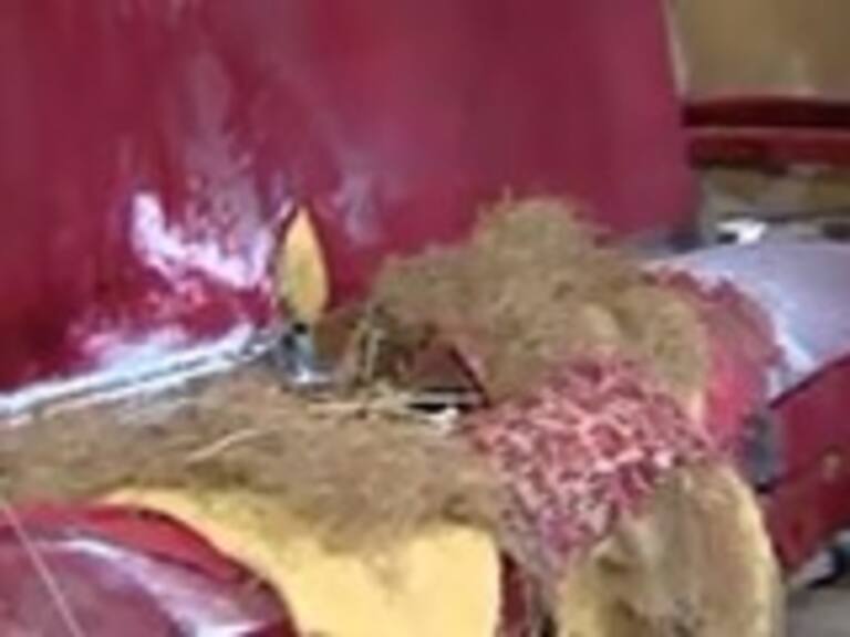 Justicia española procesó por terrorismo a dos chilenos implicados en el Caso Bombas