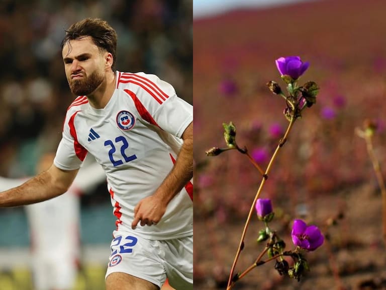 Rompe con lo tradicional: filtran nuevo modelo de camiseta visitante de La Roja inspirada en Desierto Florido