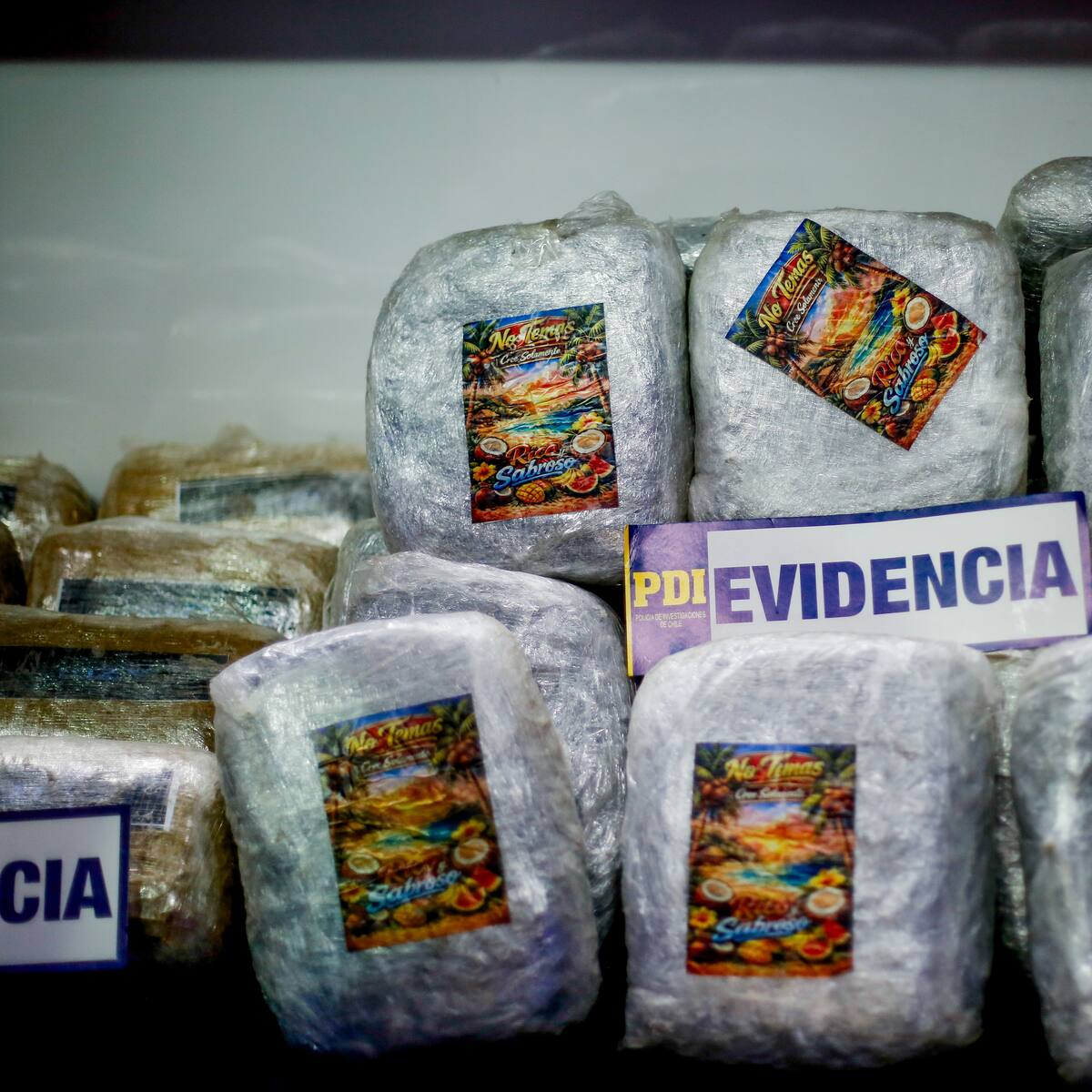 PDI desarticula banda criminal en Renca: incautaron cerca de 70 kilos de sustancias ilícitas avaluadas en $503 millones