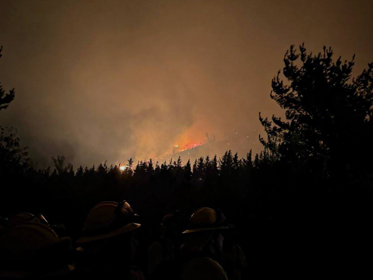 La Araucanía: cinco detenidos por “uso negligente del fuego” en los incendios forestales