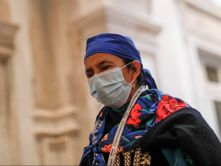 Machi Linconao: "Queremos respeto, no estamos robando"