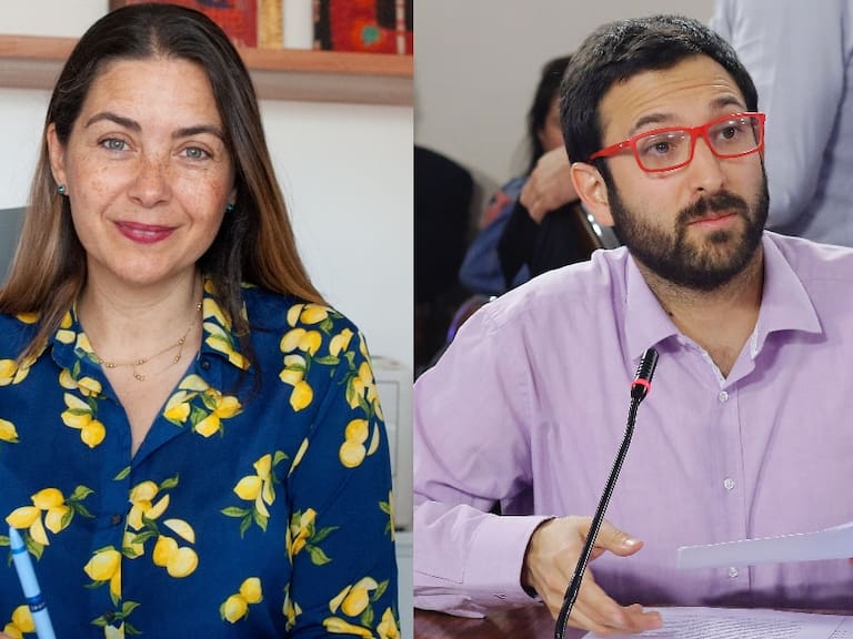 Gobierno confirma renuncia de Lucía Dammert como jefa de asesores de La Moneda