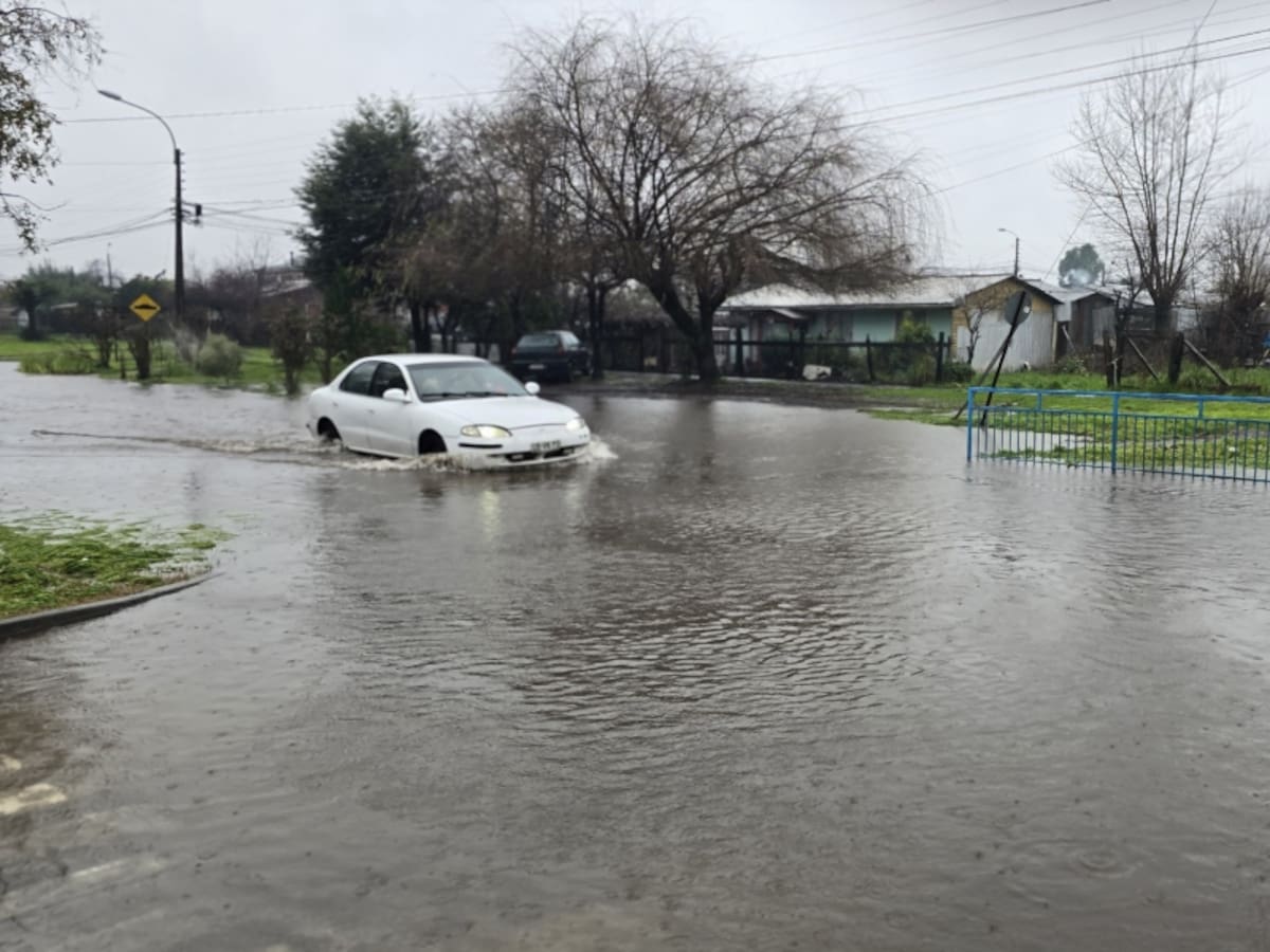 Tras intensas lluvias: declaran alerta roja para dos comunas de La Araucanía por desborde de ríos
