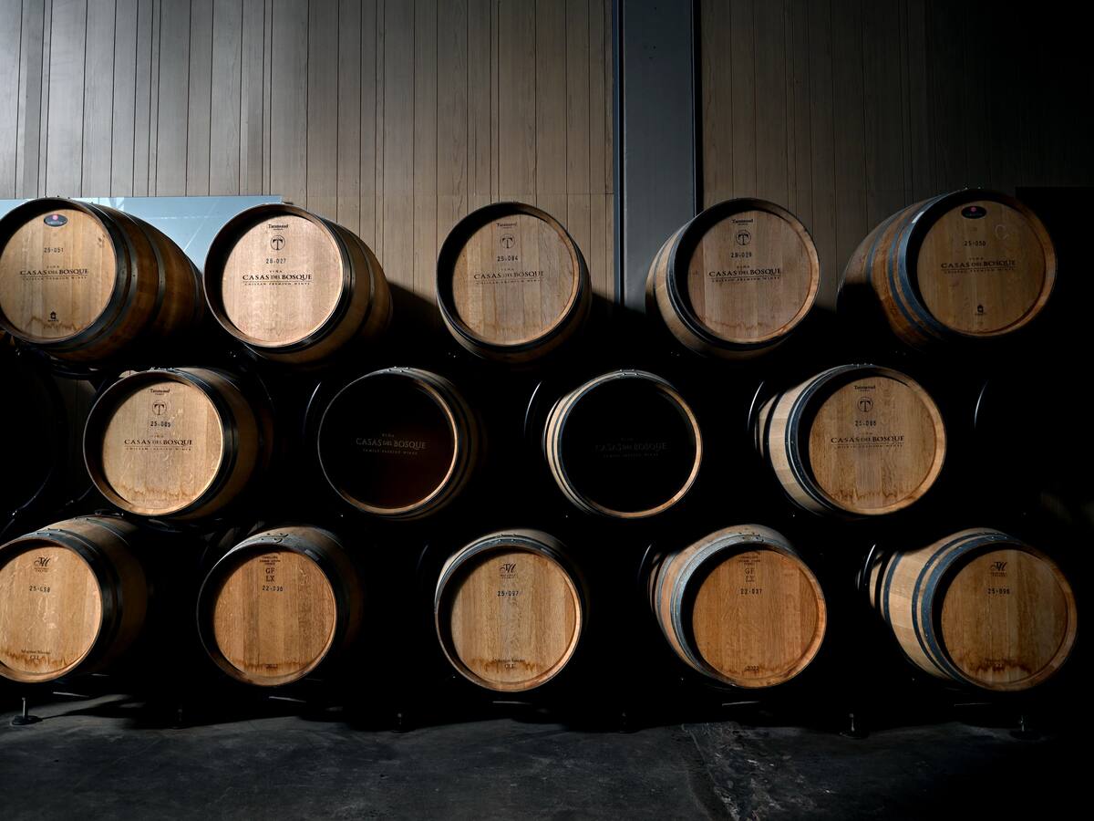 ¿Cómo Chile pone la ciencia y la tecnología al servicio de su industria del vino? Medio de China responde