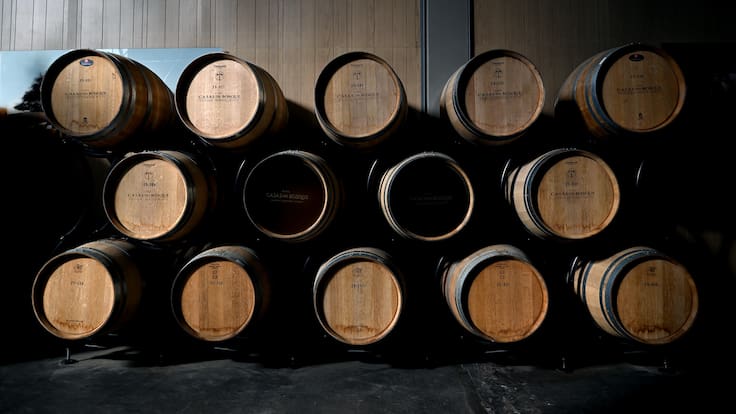 ¿Cómo Chile pone la ciencia y la tecnología al servicio de su industria del vino? Medio de China responde