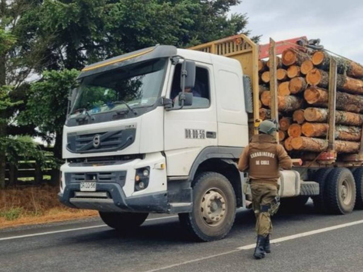 Líder del robo de madera es condenado: Ministerio Público pide más de 10 años de presidio para “El Mentolato”