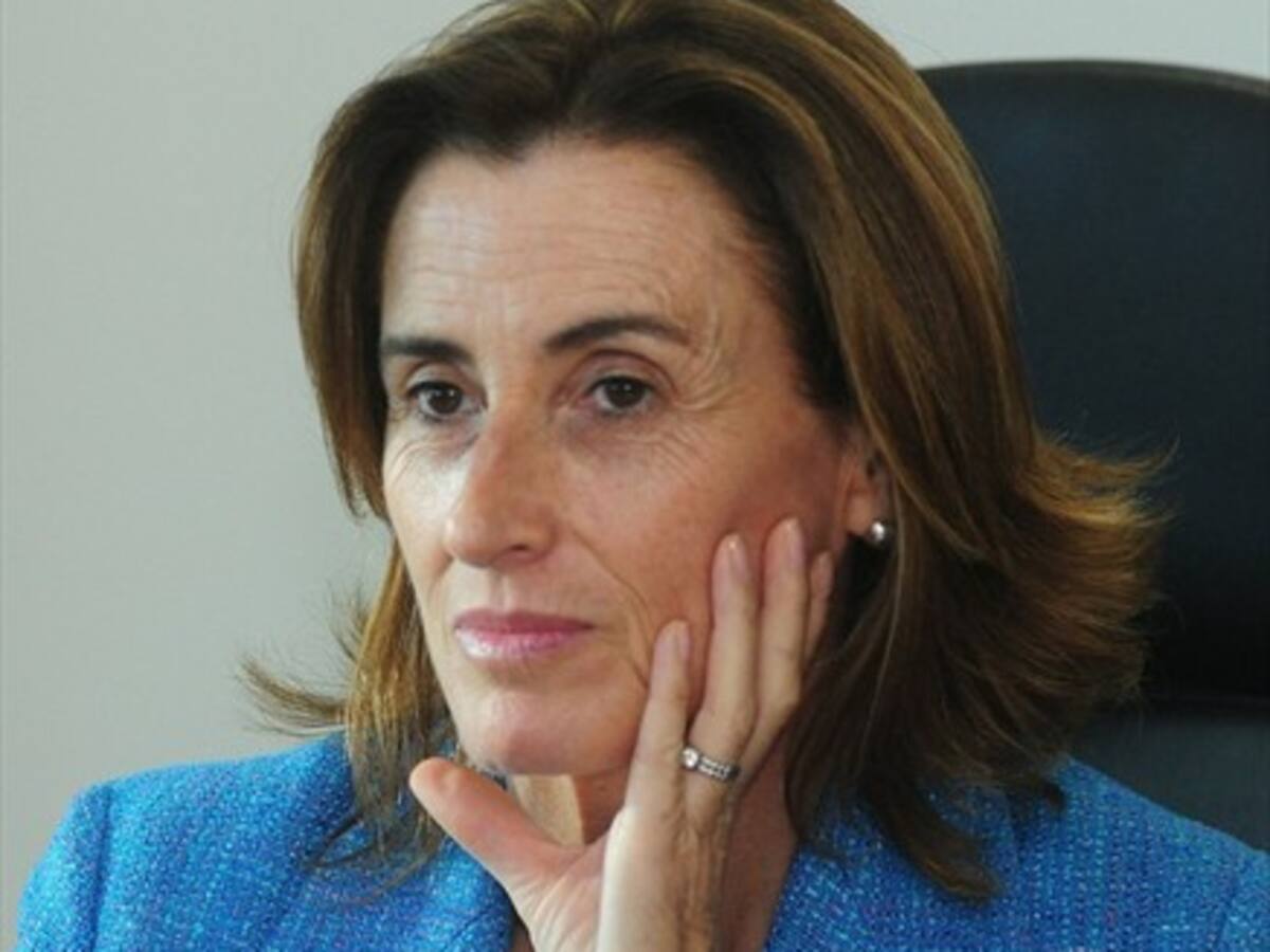Ministerio de Medio Ambiente no participará en proceso de conciliación por proyecto Dominga