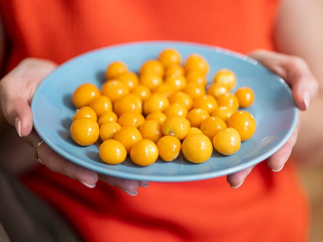 Physalis - Uchuva
