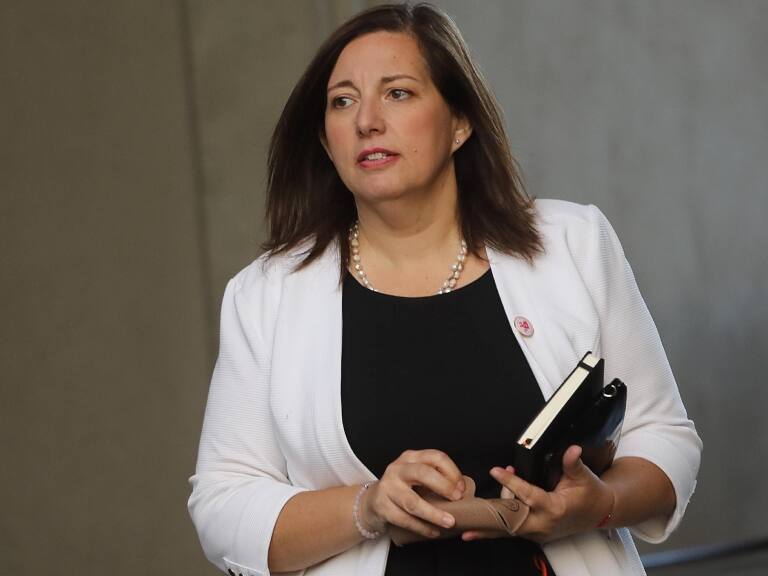 Paulina Vodanovic confirma estar dispuesta a reemplazar a Elizalde en el Senado