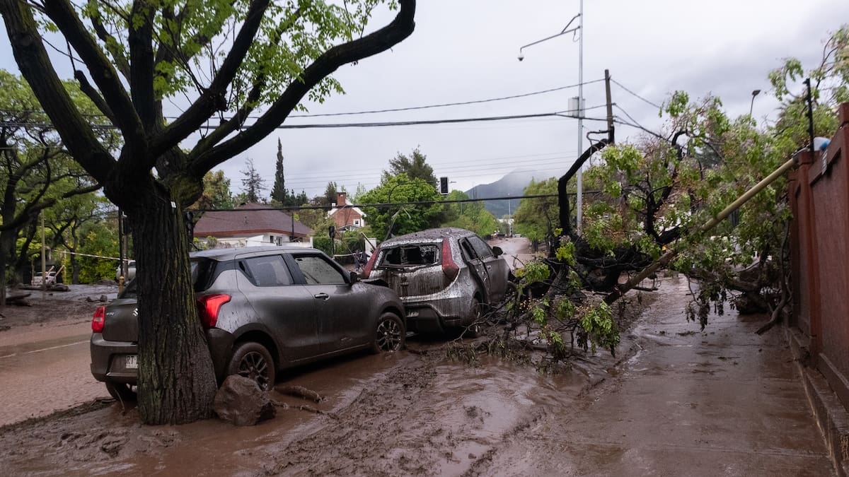 Mujer aplastada por árbol durante temporal en Estación Central permanece grave pero fuera de riesgo vital