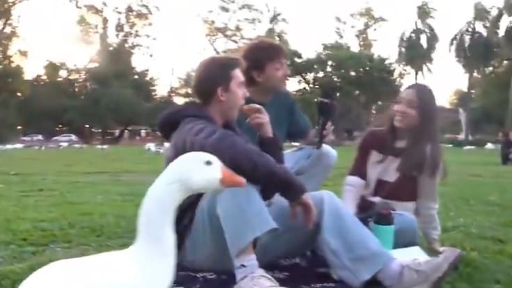 “Perpetua urgente para estos delincuentes“: argentino sufre un curioso robo y se volvió viral en redes