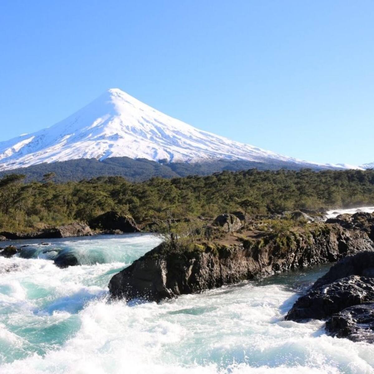 El ambicioso plan de Puerto Varas para cambiar el futuro del Parque Nacional Vicente Pérez Rosales