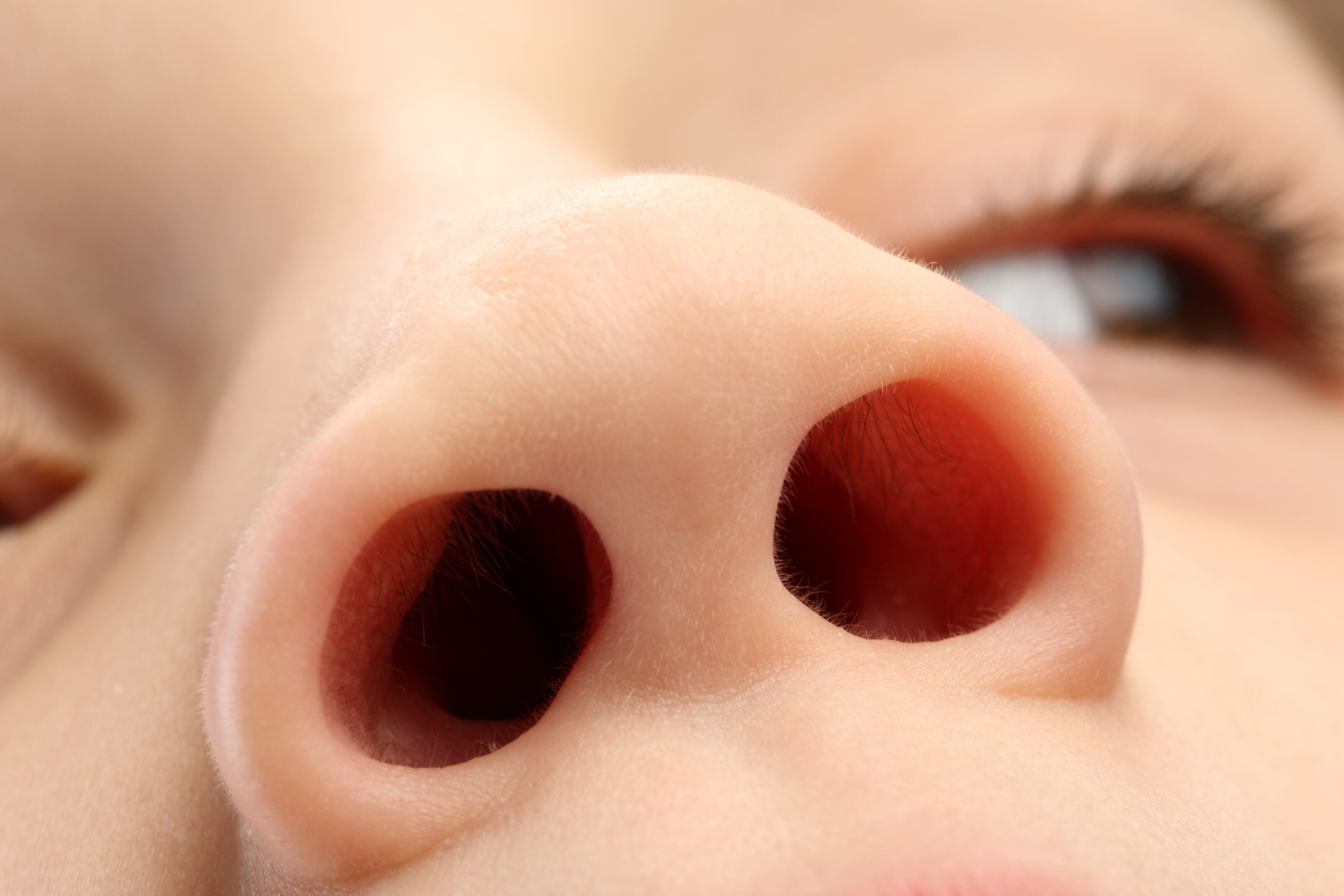 Nose with eyes
