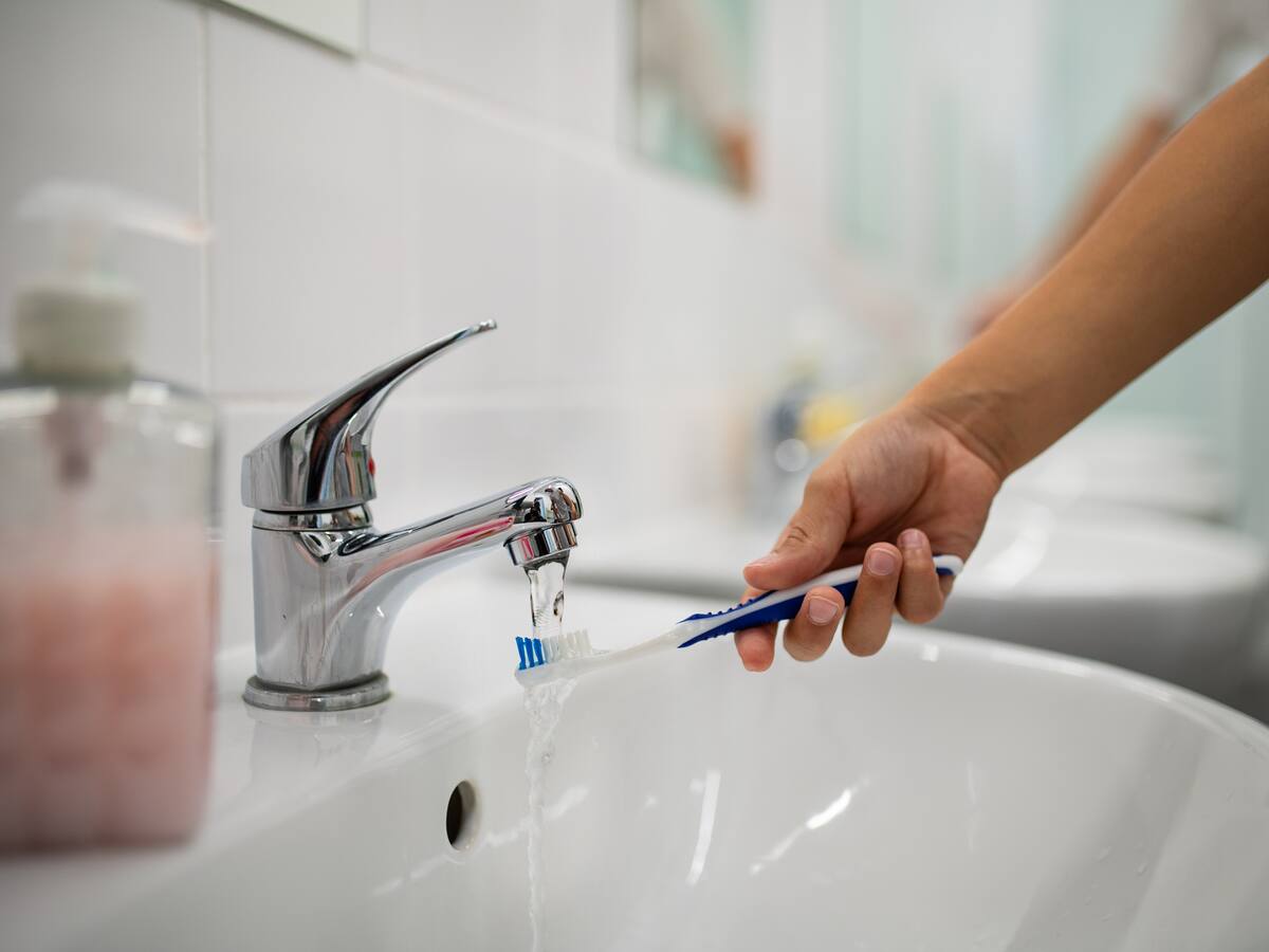 Estos son los microbios que esconden nuestros cepillos de dientes y así puedes cuidar tu salud bucal, según un microbiólogo