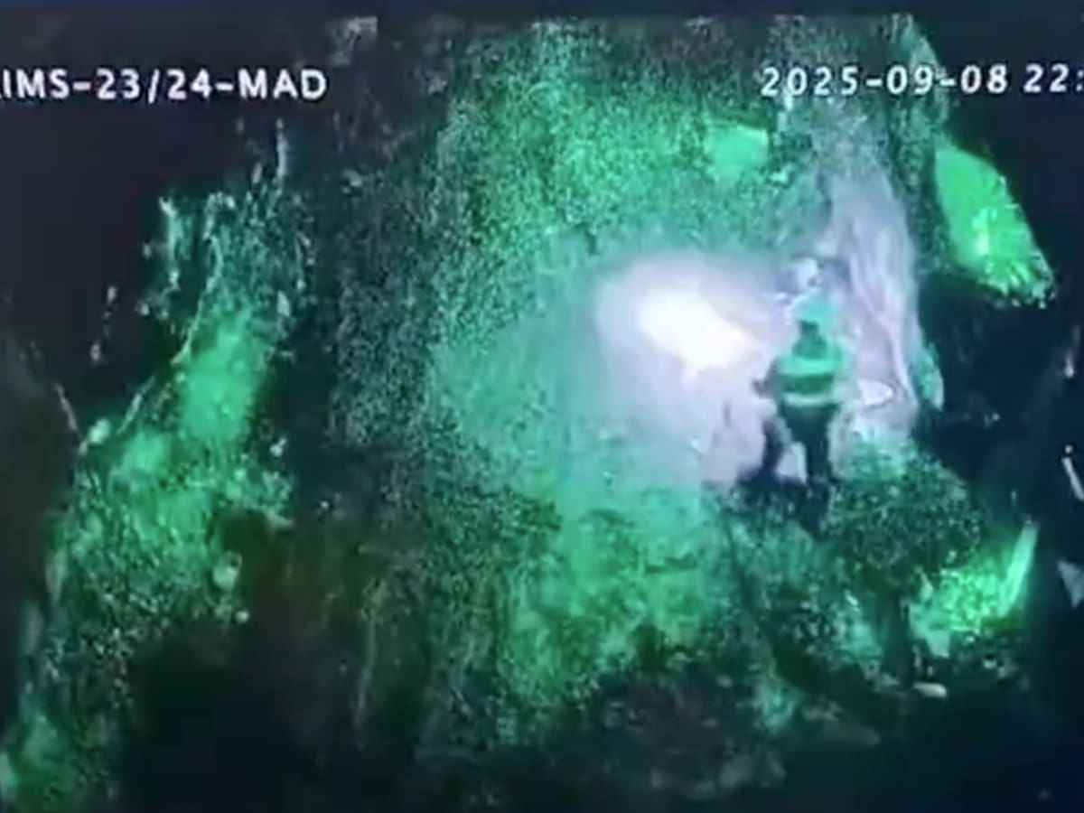A casi un mes del derrumbe: hallan cuerpo del ingeniero chileno desaparecido tras colapso en mina de Indonesia