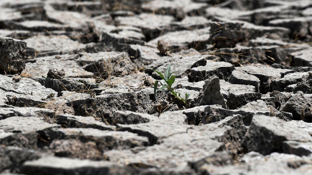 Sequía, ola de calor, 1024x576 jpg ok
