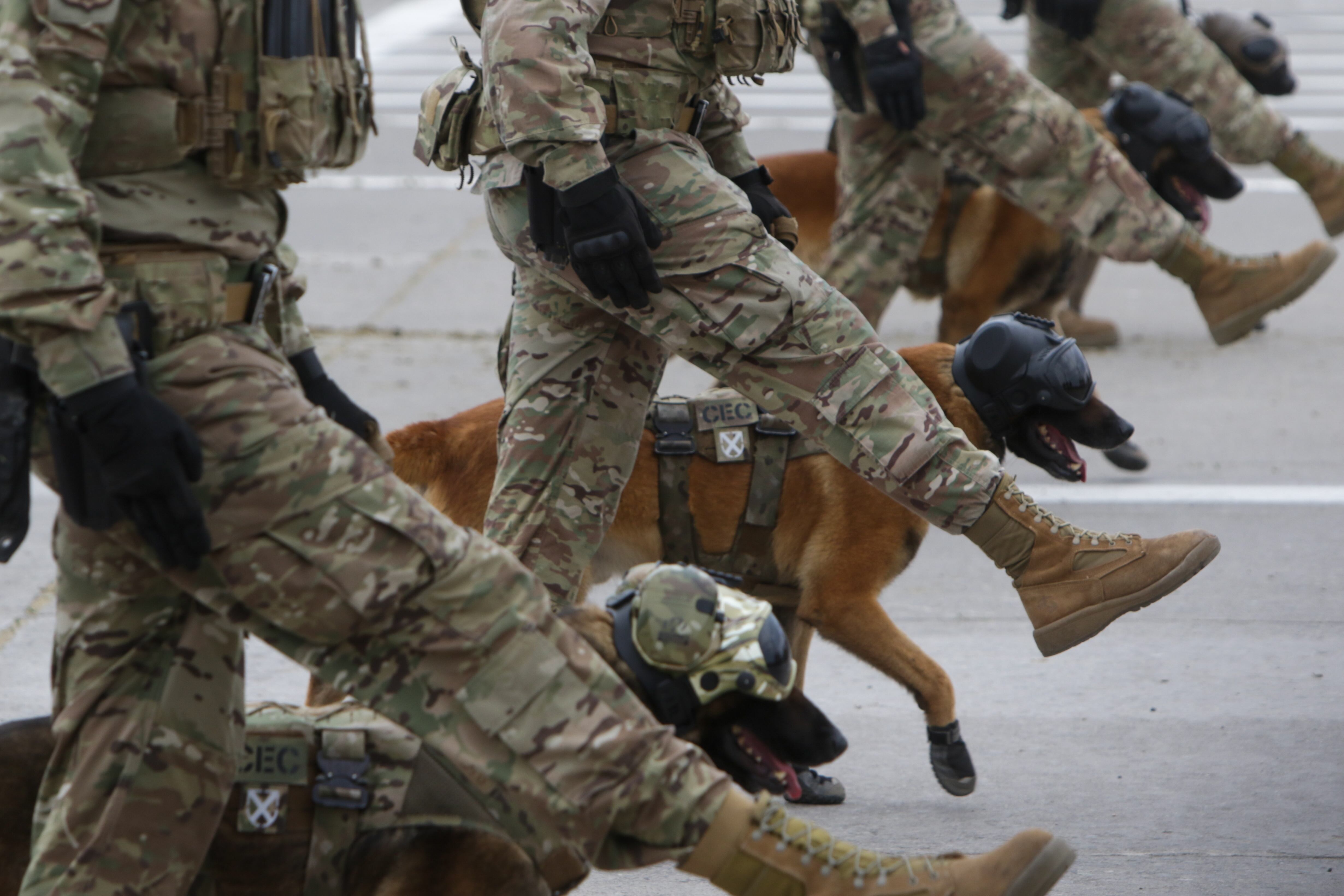 Efectivo del Ejercito