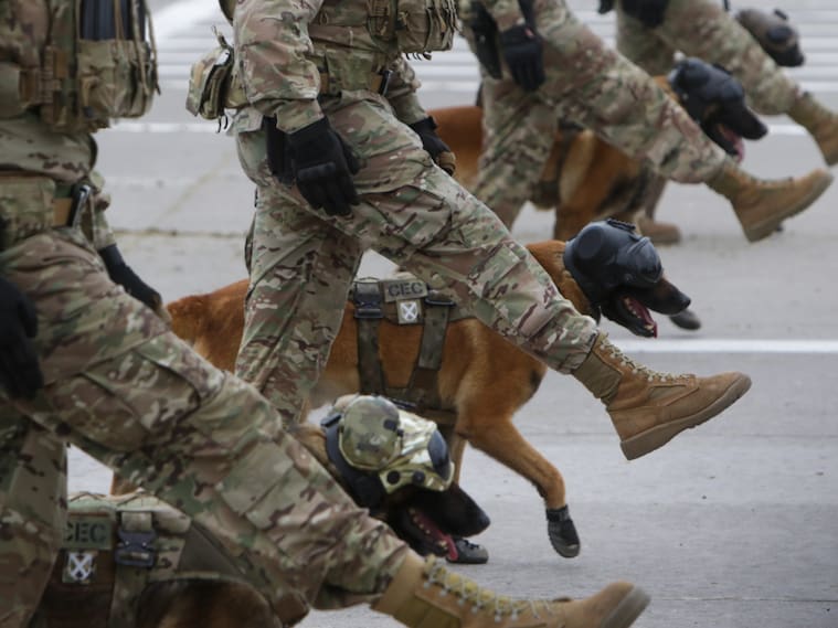 Efectivo del Ejercito
